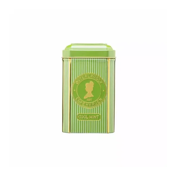 Cool Mint � boks 12 pyramideposer
