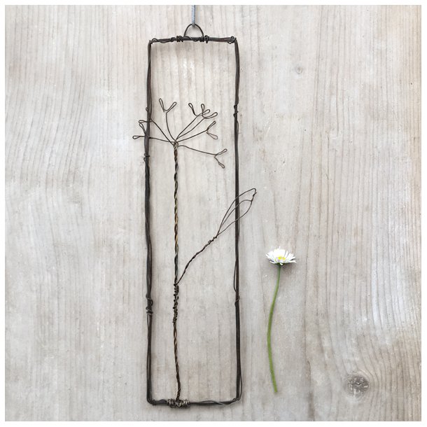 Dekorasjon -  St�ltr�d - cow parsley (hundekjeks)